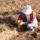 마우농장 이미지