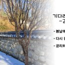 김영희/4회 겨울공모/단장시조 차상 이미지