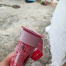 조은날민박 이미지