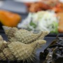 독도회센타 이미지