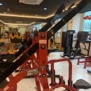 글로리짐 이미지