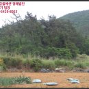 신지면-3 이미지