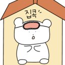 천년카페 이미지