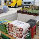 내대 1리 | 강원도 철원 여행 고석정꽃밭 / 내대막국수 / 은하수교 철원평야 / 송대소 주상절리 / 삼부연폭포