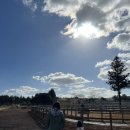 채원목장 이미지