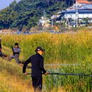 버들낚시터 이미지