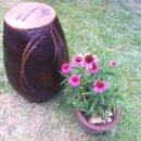 팔복식당 이미지