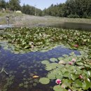 큰어리골 쉼터 이미지