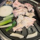 부부뒷고기 티스토리