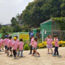 파란꿈아트팜숲유치원 이미지