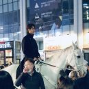 홀스마스터즈 승마클럽 이미지