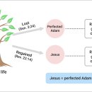 Divine Principle - 7) Christology - Section 2 이미지