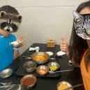 스파렉스 연수 이미지