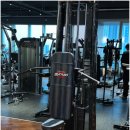 머슬피플 이미지