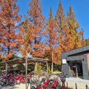 평화대여소 이미지