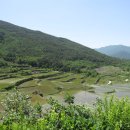 지리산다래랑민박펜션