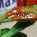 두름농장 이미지