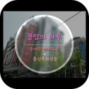 평화대성약국 | ☞ 꼼맘의 하루 ☜