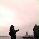 바다와소나무 이미지