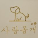 사랑옵개 이미지