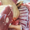 약산 흑염소 이미지