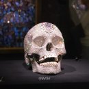 (주)무지개약품 | 데미안 허스트 전시 리뷰 국립현대미술관 서울