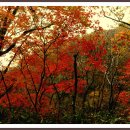 장성삼거리입구 공원 이미지