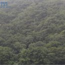 오천1리마을회관 이미지