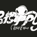보그펫 이미지