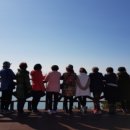 화악산여행사