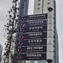 안양박물관 | 경기도 안양박물관, 김중업건축박물관 관람 후기 feat. 카페 명당, 김중업 르코르뷔지에 건축사진전