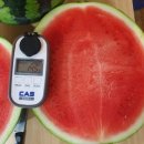 조은축산 이미지