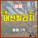 원피스부동산공인중개사사무소 이미지