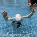 짐스아쿠아 | 초2 짐스아쿠아 봄방학 특강 후기/ 3주 만에 부쩍 성장한 수영실력!!