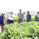 영농조합법인 대청 노컷뉴스