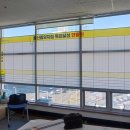 다올pet | DB손해보험 울산중앙지점 | 신울산 | 남울산 대형 현황판 설치 후기