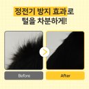 털보신집