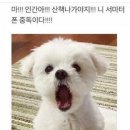 장충인(J C INN) | 칭다오 여행기 1. 갑분중? 갑자기 중국행 비행기 끊기