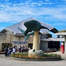 대해로 4 이미지