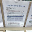 조운메디 네이버블로그