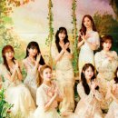 신비뷰티