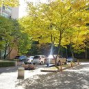 성호세탁소 이미지