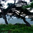 솔밭농장 이미지