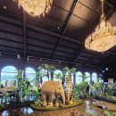 엘리펀트 이미지