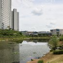 한숲하늘근린공원 이미지