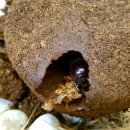 충우농장 이미지