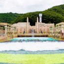 오션 스포츠조선