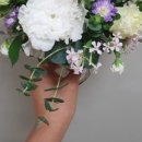 플레르은혜