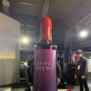 2019 광명동굴 대한민국 와인 페스티벌 | 2019 광명동굴 대한민국 와인 페스티벌 3일차 후기