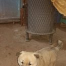 풍산농장 이미지